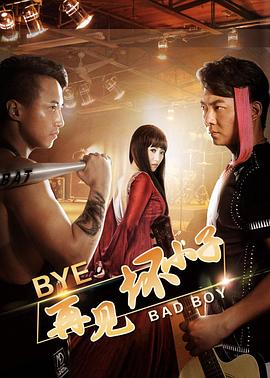 我家有喜影视海报