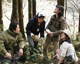 波野结野衣中文剧情影视海报