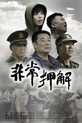 ipz973这女的太漂亮了影视海报