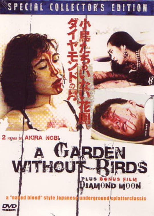 女士一次4p刺激的经历影视海报