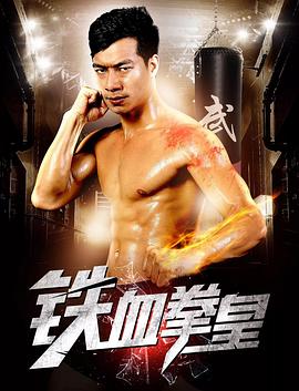 电视剧铁血尖兵影视海报