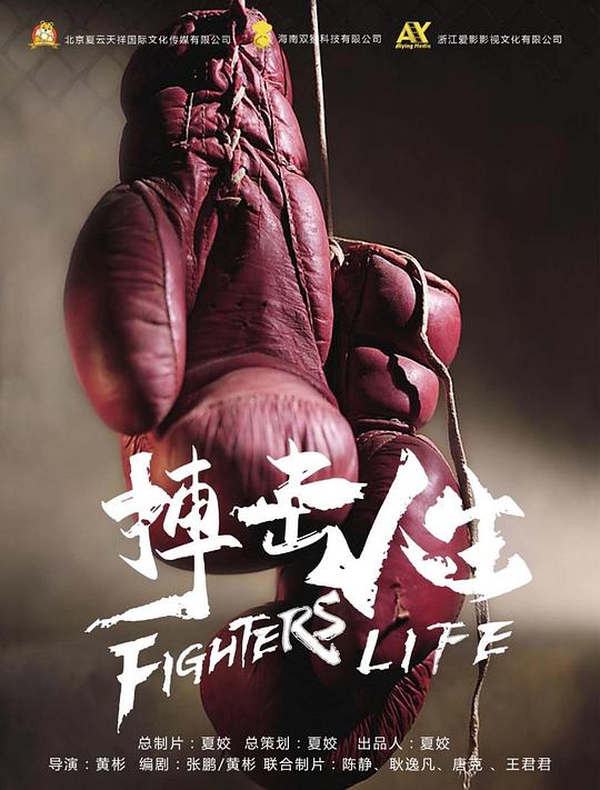 中国好声音第五季影视海报