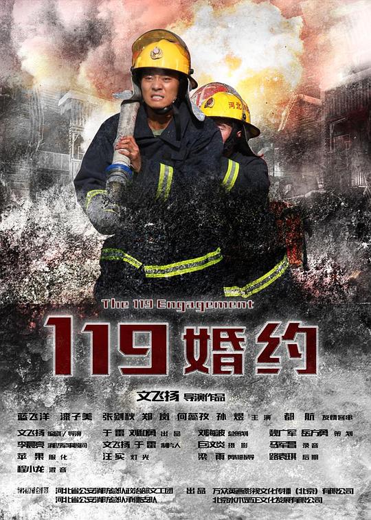 冒牌英雄电视剧全集免费影视海报