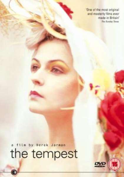 大y摄影影视海报