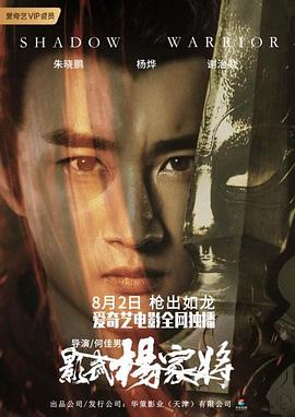 乡村艳妇叱咤风云影视海报