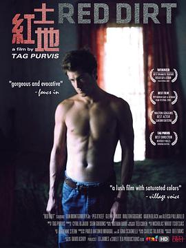 走火电视剧全集影视海报