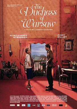 年轻的母亲5天狼景院影视海报