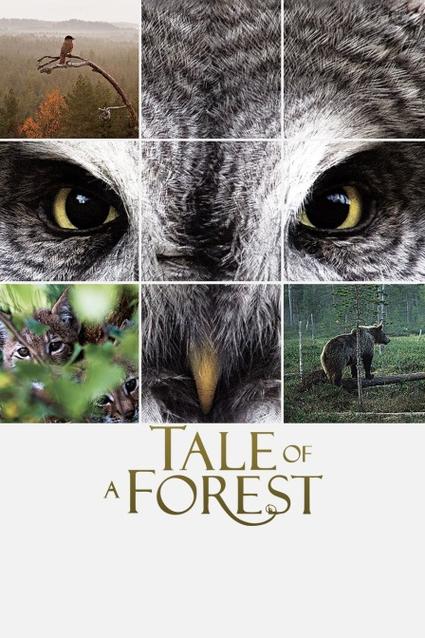 模仿游戏百度云影视海报