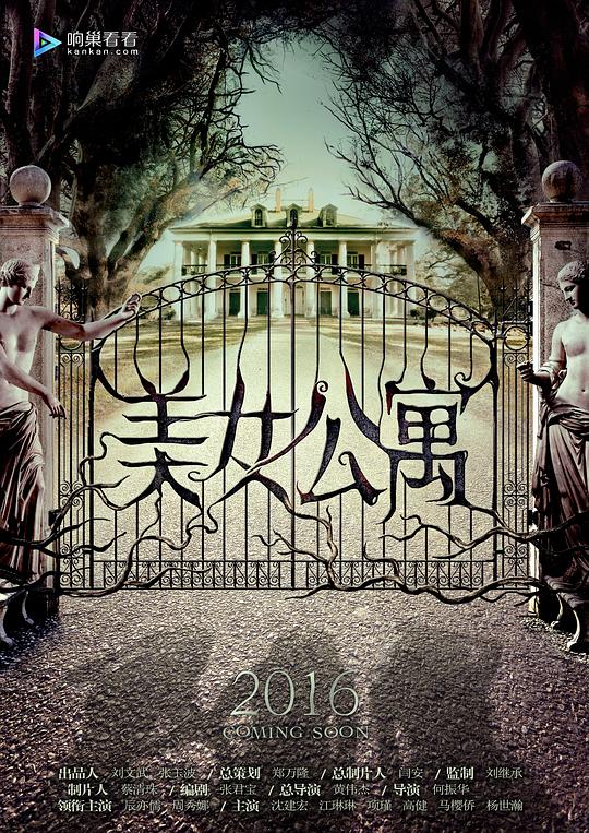 飞扬的青春影视海报