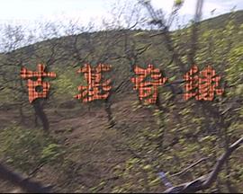 梦色蛋糕师第三季影视海报