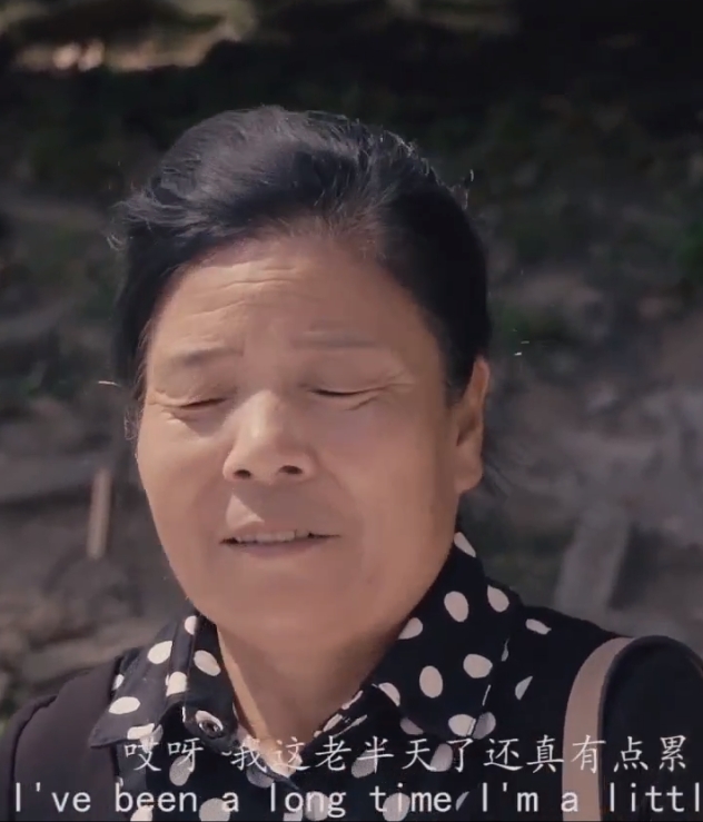 喵咪网址入口影视海报