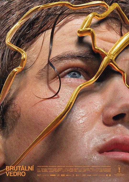 肉莆团影视海报