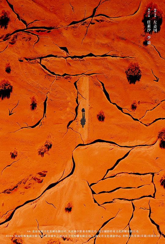 中国人学生chinese54影视海报