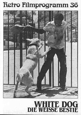 跨越8年的新娘影视海报